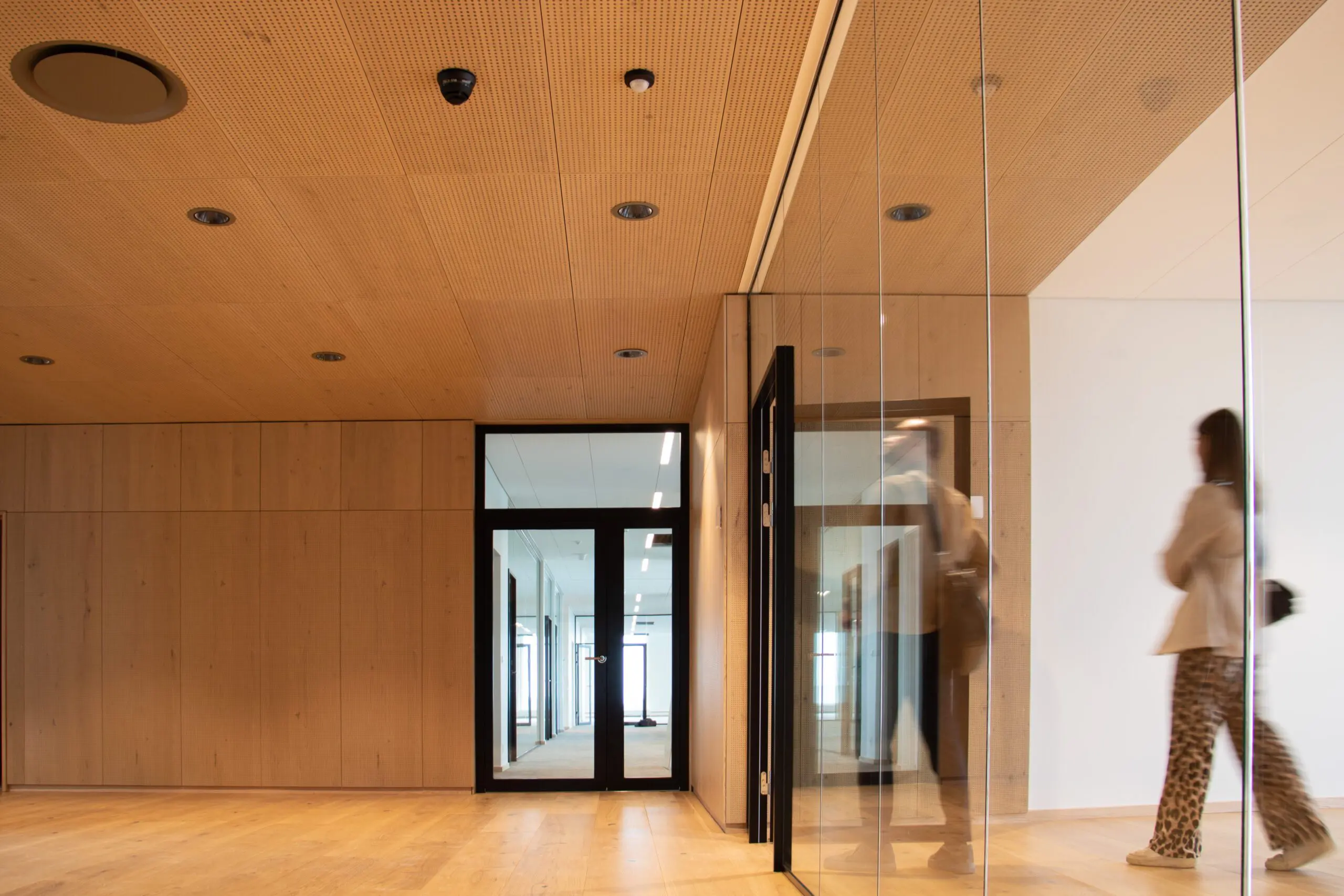 Teamtronic_Modulares_Downlight_1