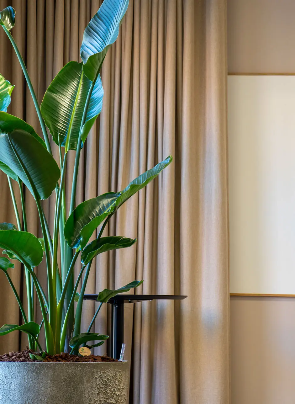 Die richtige Beleuchtung von Besprechungsräumen sorgt für die richtige Stimmung