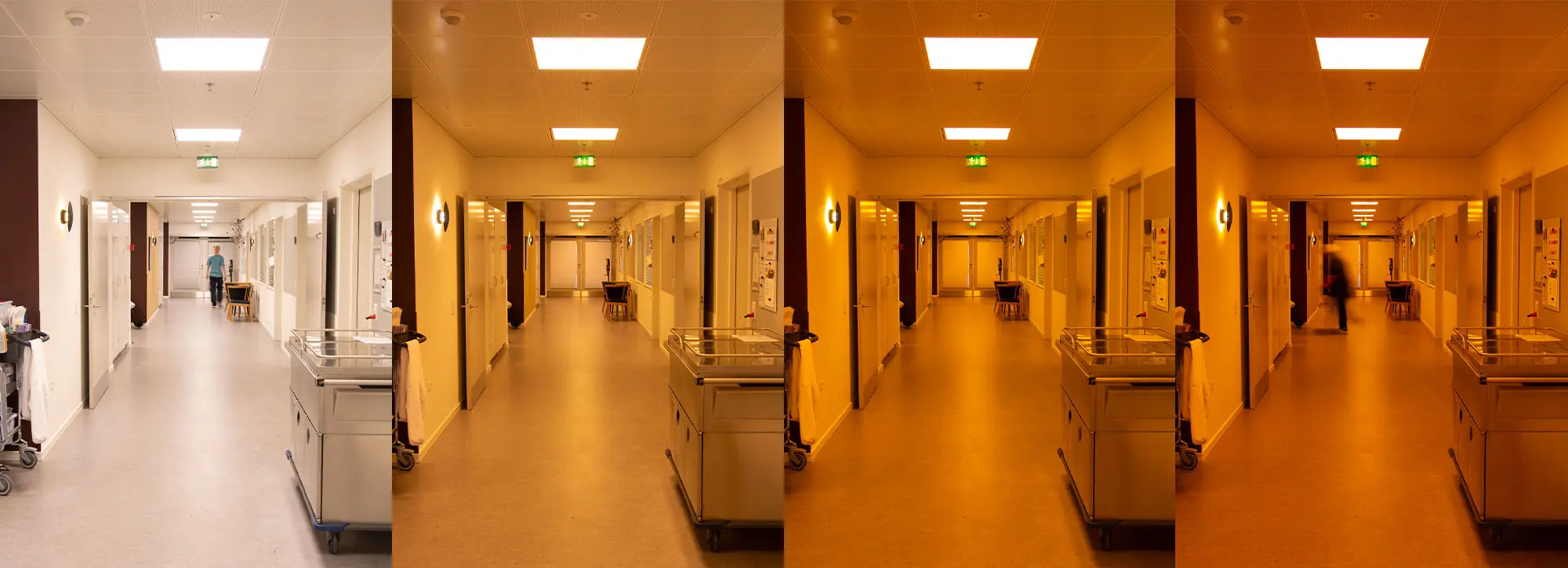 Døgnrytmelys og amber