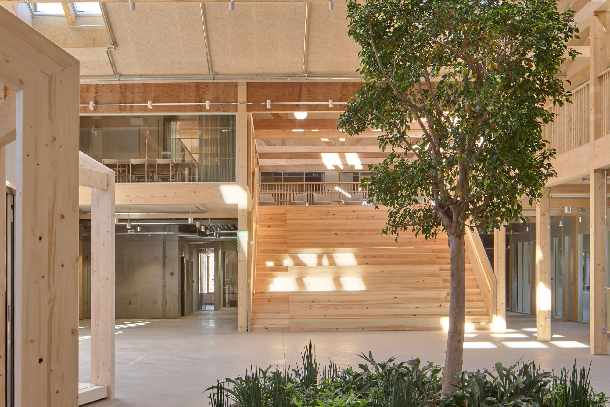 Velux LKR Innovationshaus