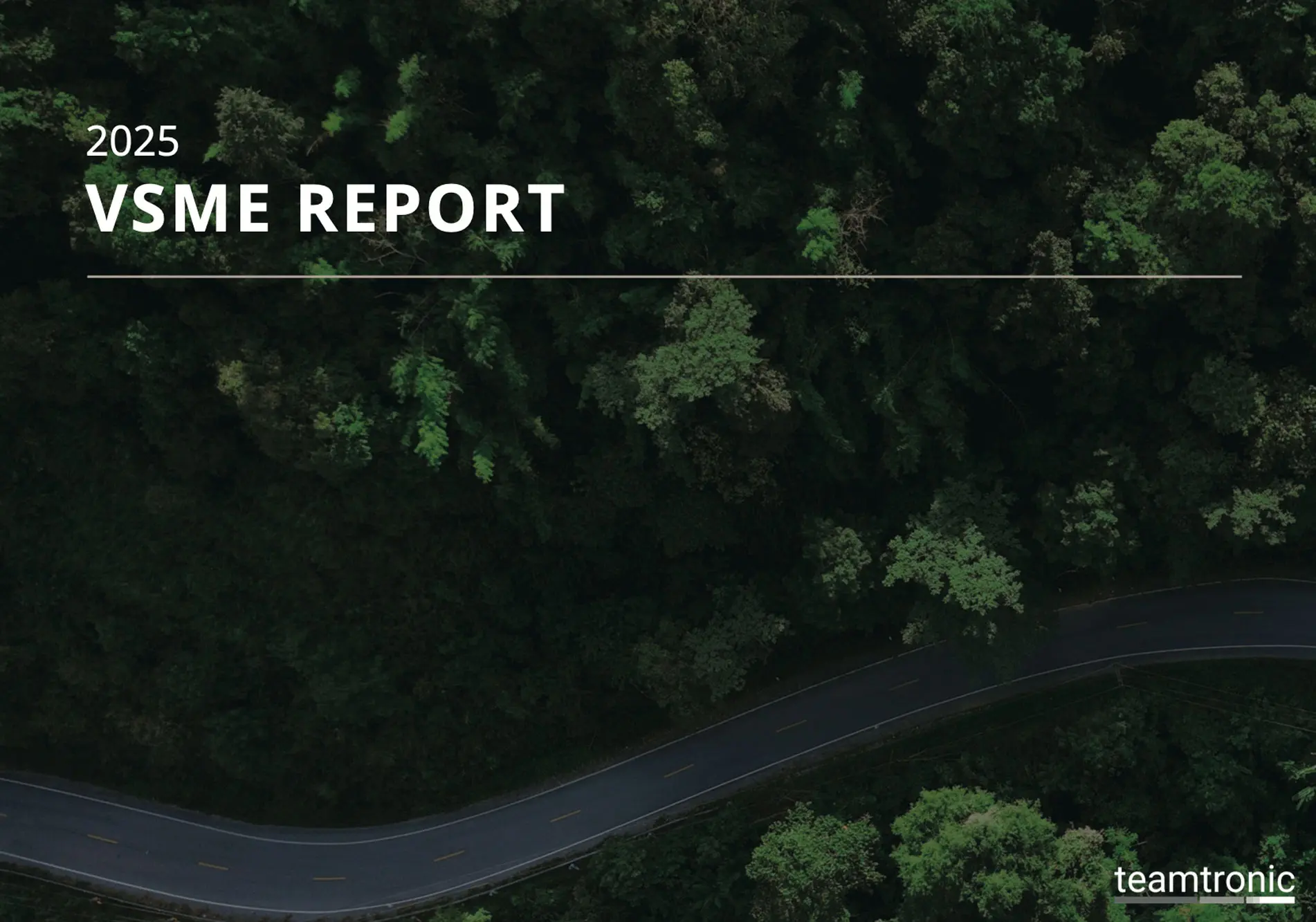 Teamtronic publishes VSME report for 2025