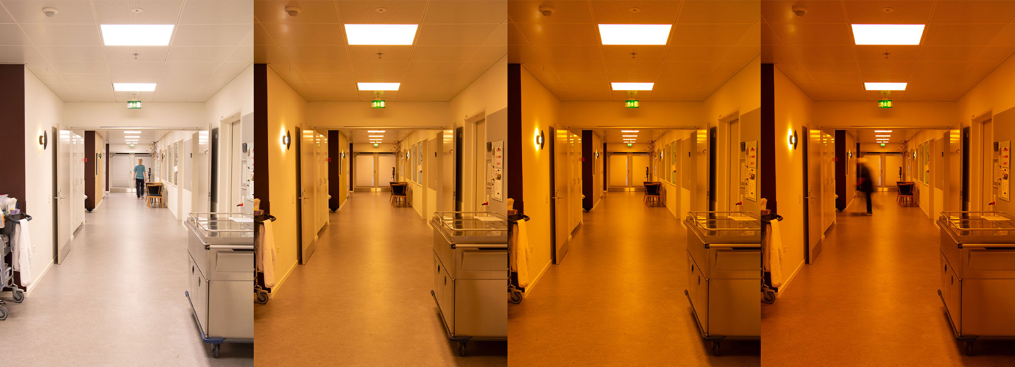 Døgnrytmelys og amber