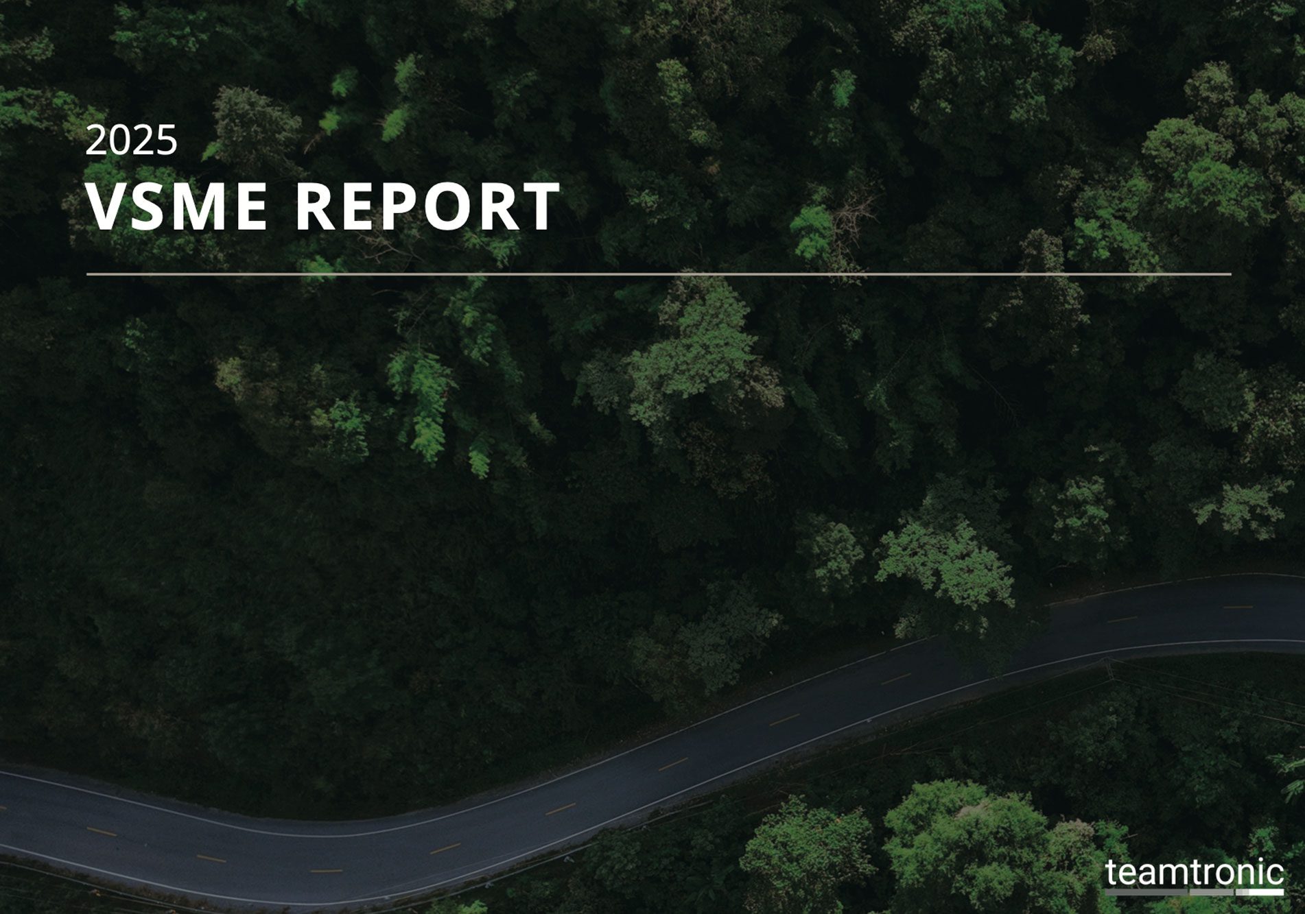 Teamtronic offentliggør VSME-rapport for 2025
